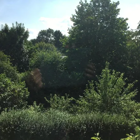 Bei Netti Daire Klutz